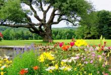 Garden at Wisdom House